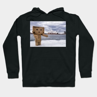 Typical Tourist Hoodie